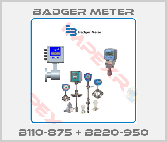Badger Meter-B110-875 + B220-950