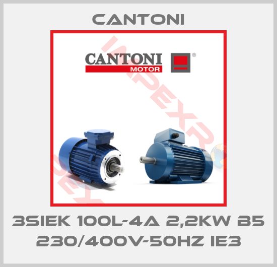 Cantoni-3SIEK 100L-4A 2,2kW B5 230/400V-50Hz IE3