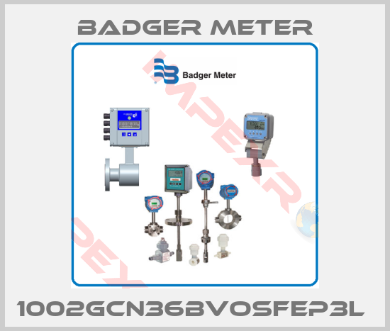 Badger Meter-1002GCN36BVOSFEP3L 