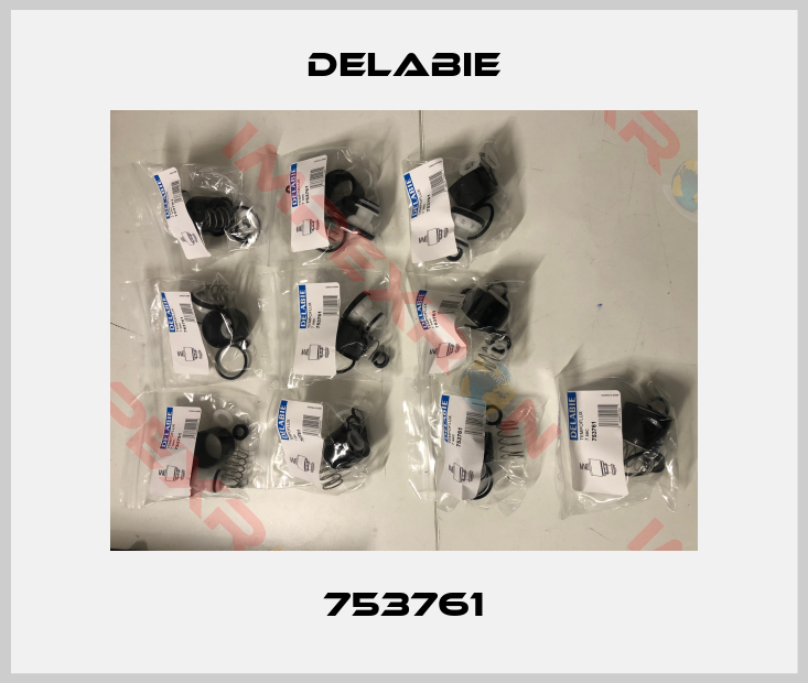 Delabie-753761