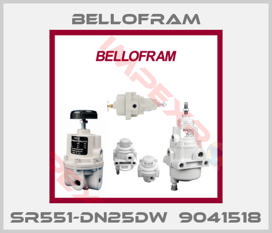 Bellofram-SR551-DN25DW  9041518
