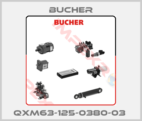 Bucher-QXM63-125-0380-03 
