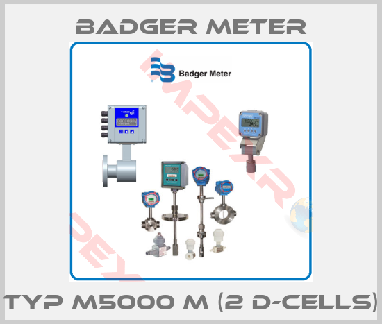 Badger Meter-Typ M5000 M (2 D-Cells)