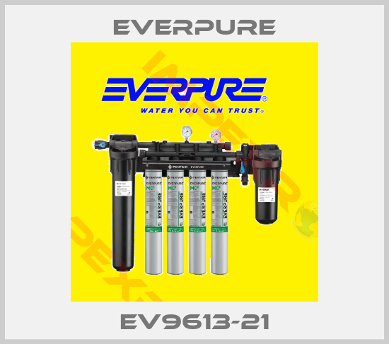 Everpure-EV9613-21