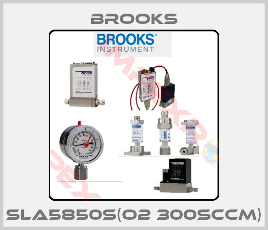 Brooks-SLA5850S(O2 300sccm)
