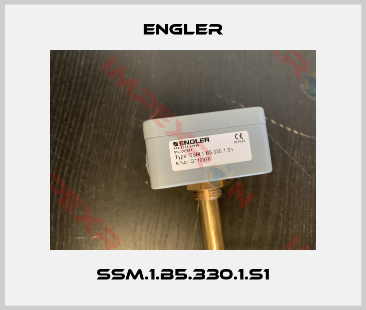 Engler-SSM.1.B5.330.1.S1