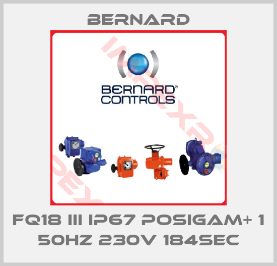 Bernard-FQ18 III IP67 POSIGAM+ 1 50Hz 230V 184sec