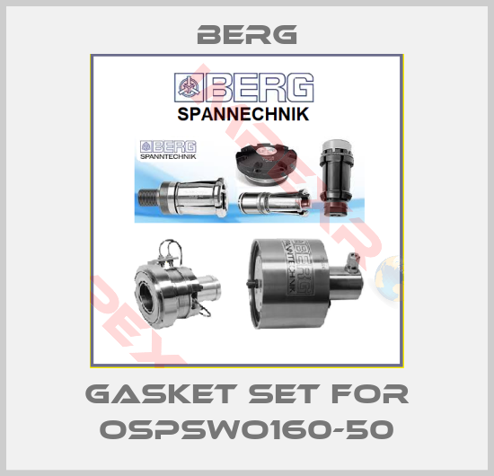 Berg-gasket set for OSPSWO160-50