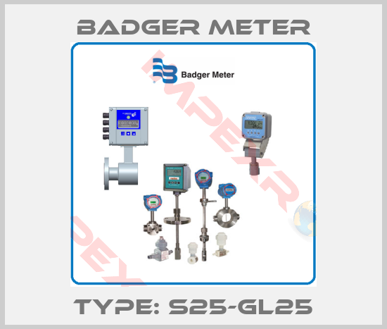 Badger Meter- Type: S25-GL25
