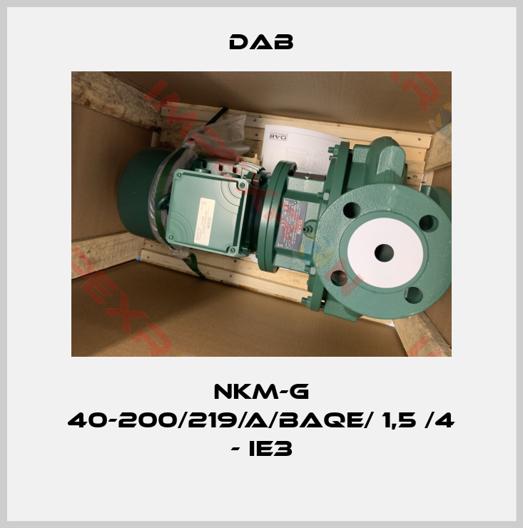 DAB-NKM-G 40-200/219/A/BAQE/ 1,5 /4 - IE3