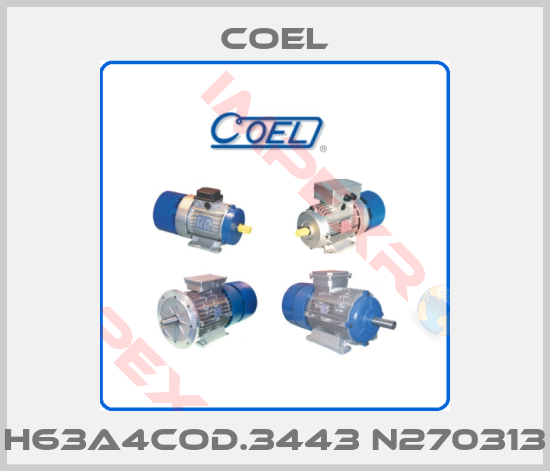 Coel-H63A4cod.3443 N270313
