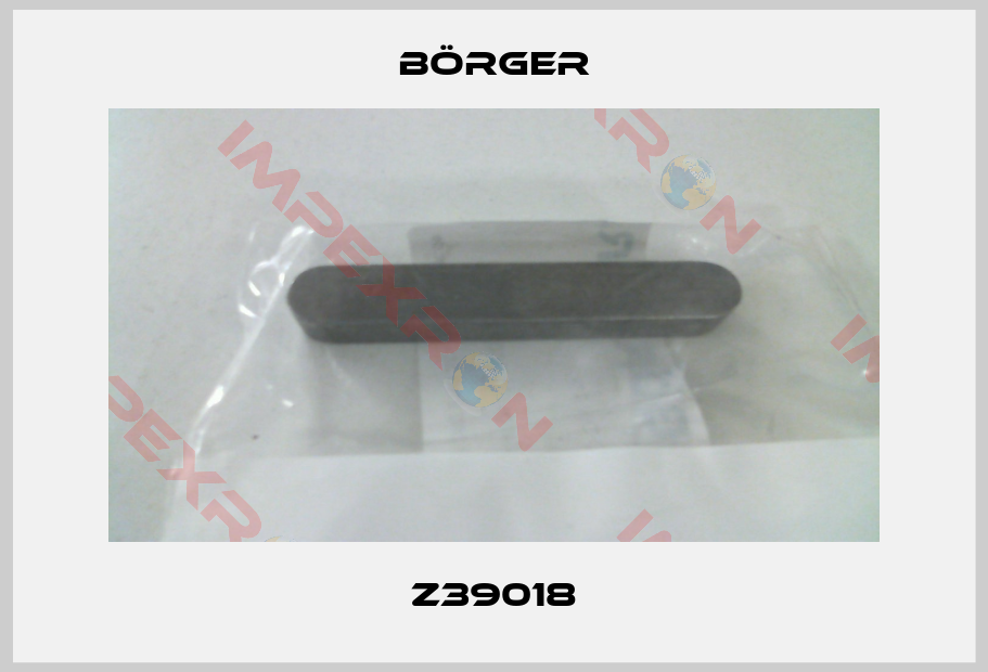 Börger-Z39018