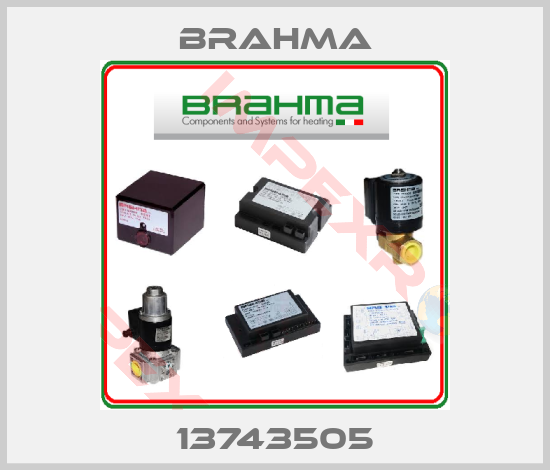 Brahma-13743505