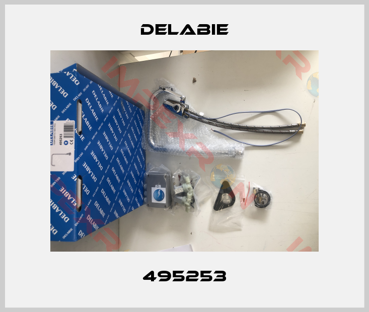 Delabie-495253