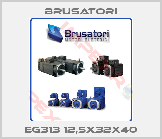 Brusatori-EG313 12,5X32X40