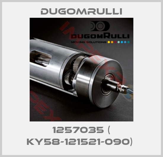 Dugomrulli-1257035 ( KY58-121521-090) 