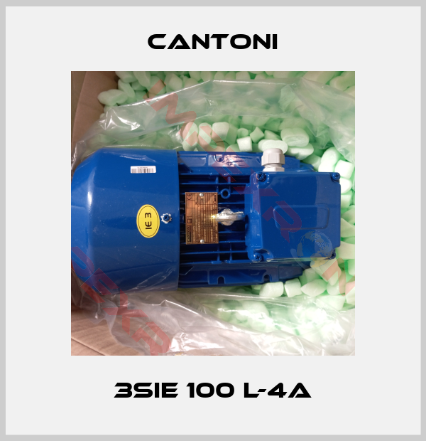 Cantoni-3SIE 100 L-4A
