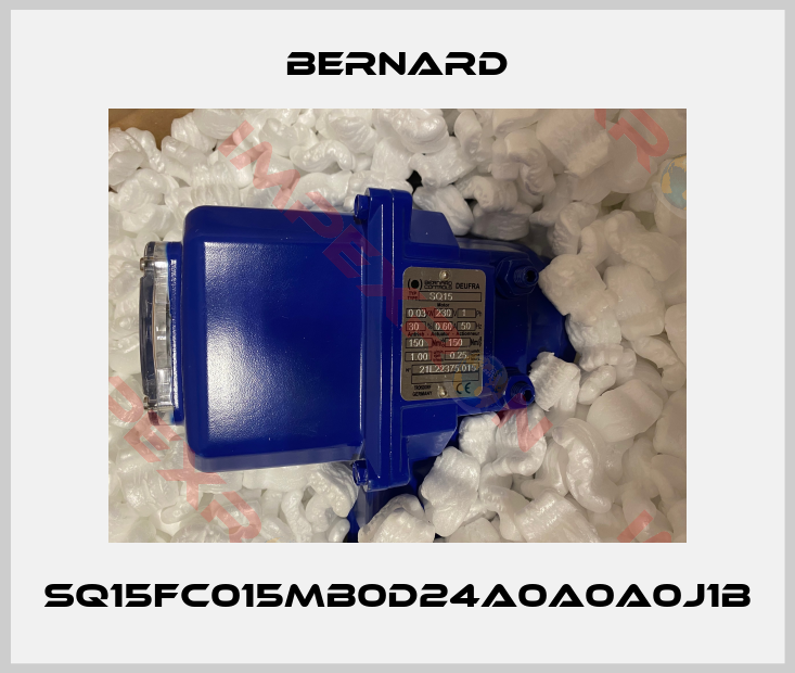Bernard-SQ15FC015MB0D24A0A0A0J1B
