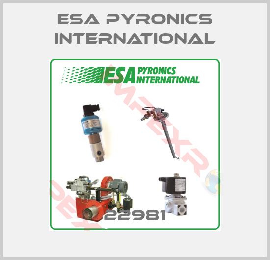 ESA Pyronics International-22981