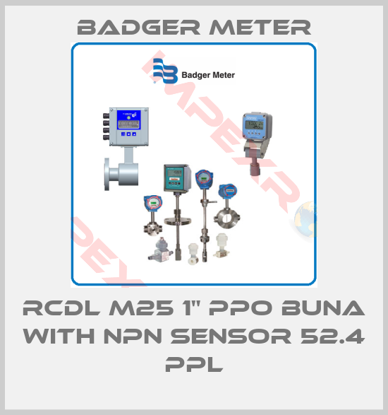 Badger Meter-RCDL M25 1" PPO Buna with NPN Sensor 52.4 PPL