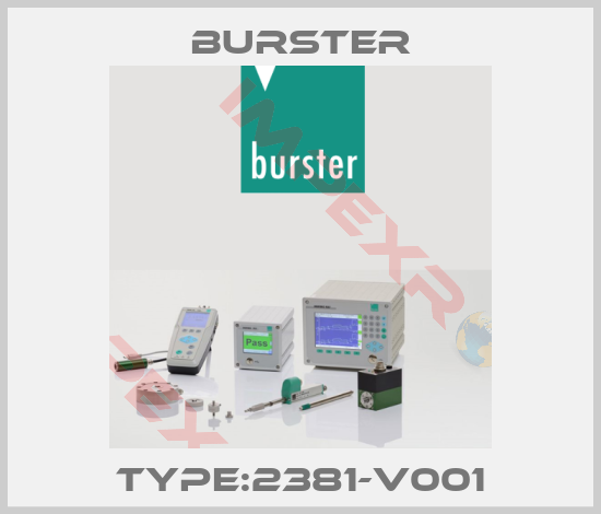 Burster-Type:2381-V001