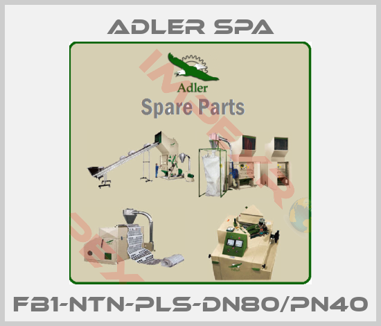 Adler Spa-FB1-NTN-PLS-DN80/PN40