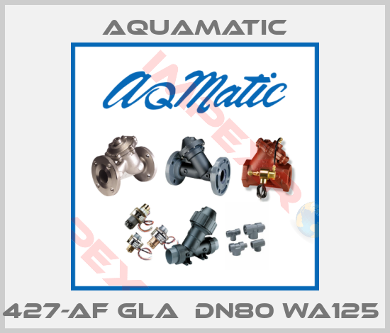 AquaMatic-427-AF GLA  DN80 WA125 