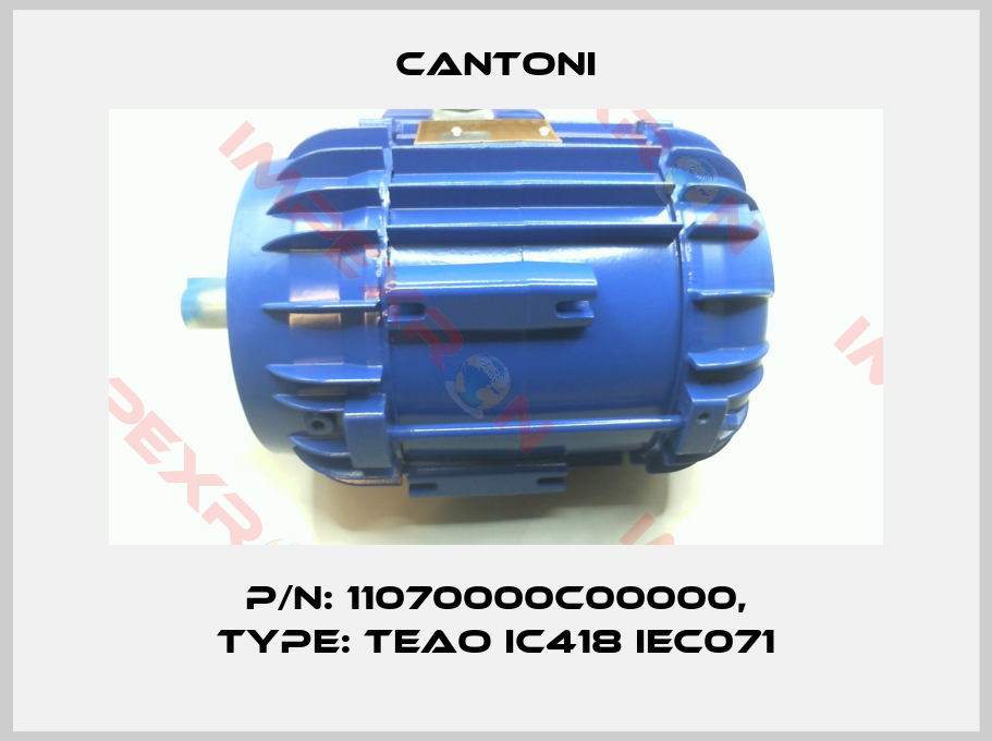 Cantoni-P/N: 11070000C00000, Type: TEAO IC418 IEC071