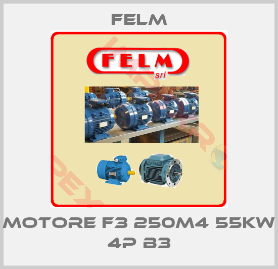 Felm-Motore F3 250M4 55KW 4P B3