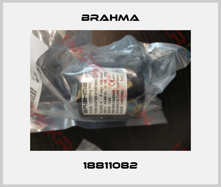 Brahma-18811082