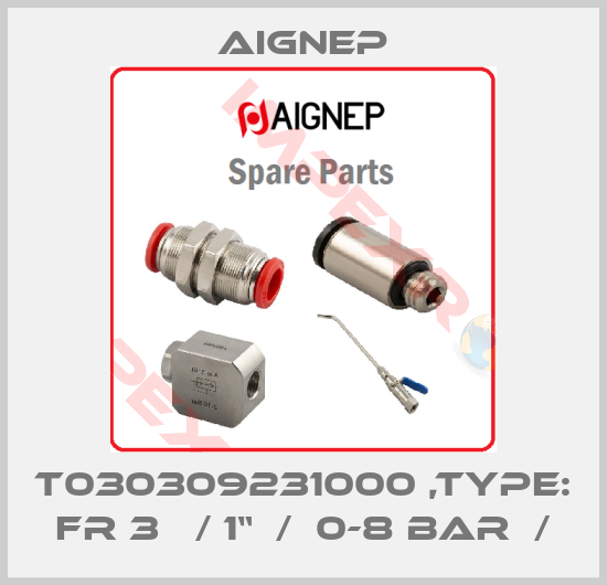 Aignep-T030309231000 ,TYPE: FR 3   / 1“  /  0-8 BAR  /