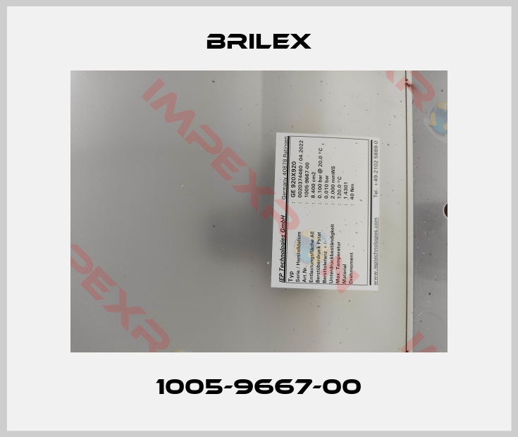 Brilex-1005-9667-00