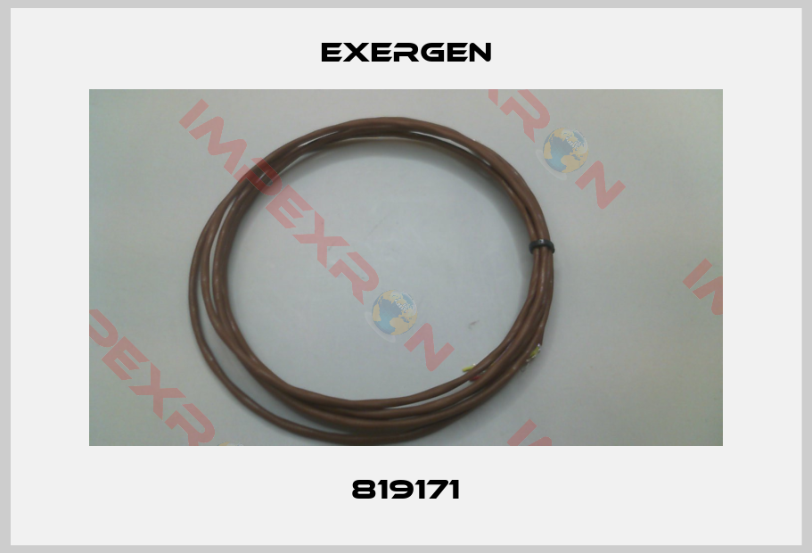 Exergen-819171