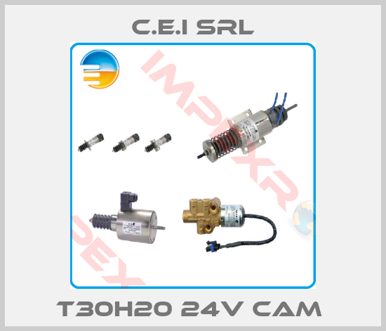 C.E.I SRL-T30H20 24V CAM 
