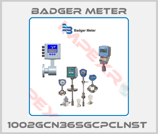 Badger Meter- 1002GCN36SGCPCLNST 