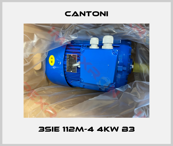 Cantoni-3SIE 112M-4 4kW B3