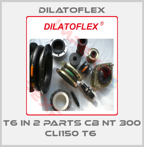 DILATOFLEX-T6 IN 2 PARTS CB NT 300 CLI150 T6 