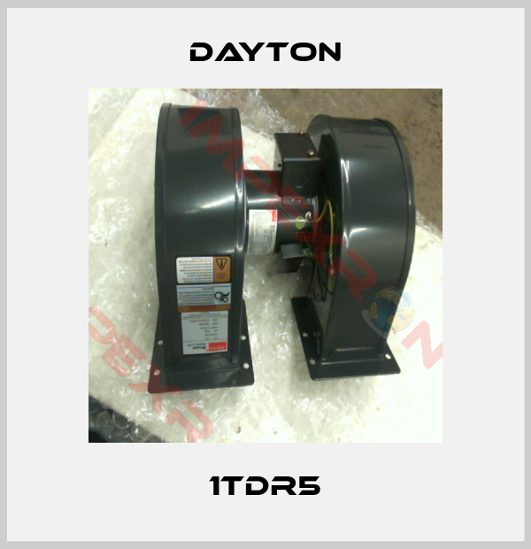 DAYTON-1TDR5