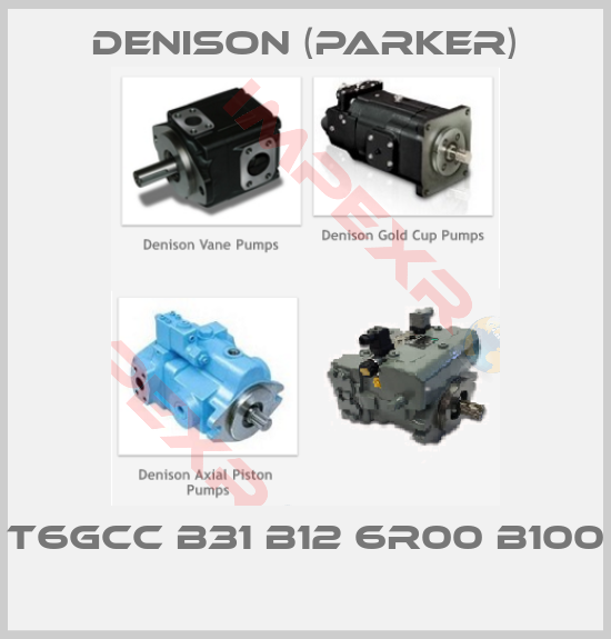 Denison (Parker)-T6GCC B31 B12 6R00 B100 