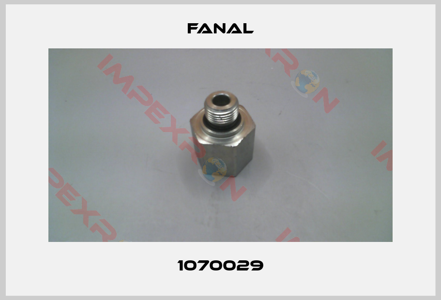 Fanal-1070029