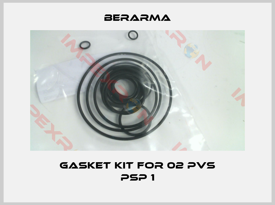 Berarma-Gasket kit for 02 PVS PSP 1