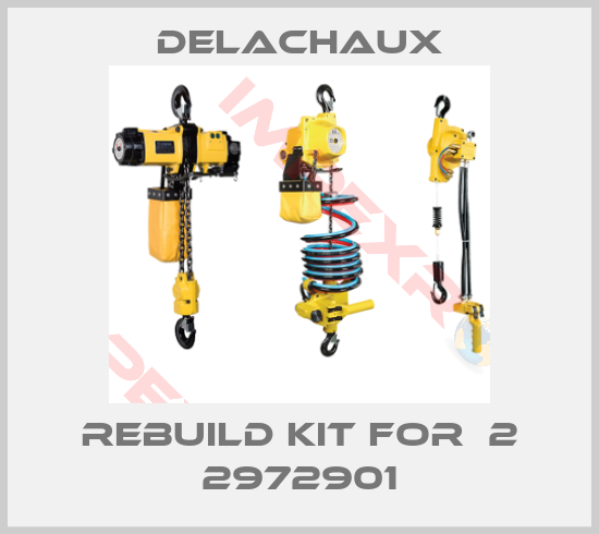 Delachaux-rebuild kit for  2 2972901