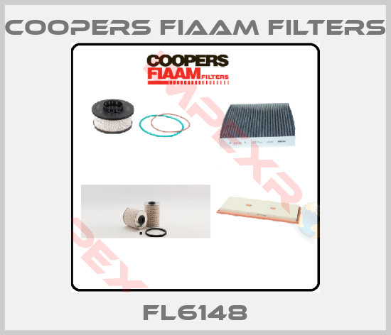 Coopers Fiaam Filters-FL6148