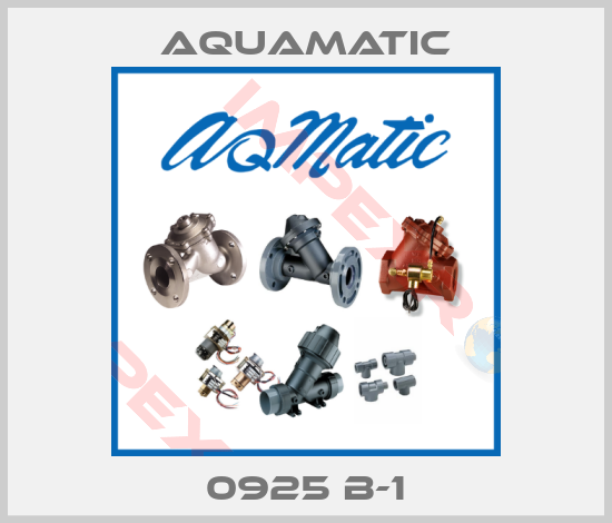 AquaMatic-0925 B-1