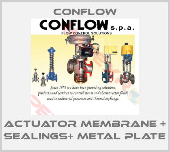 CONFLOW-ACTUATOR MEMBRANE + SEALINGS+ METAL PLATE