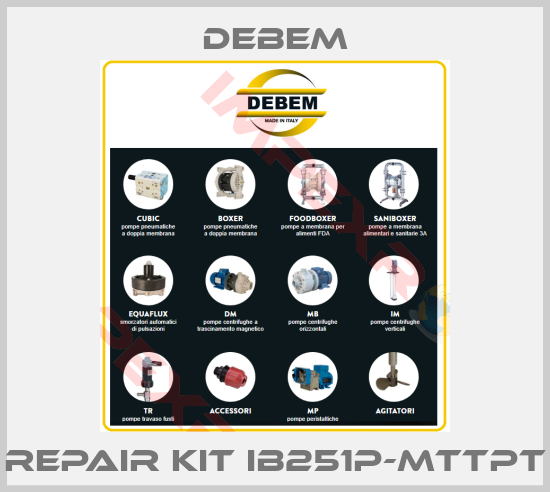 Debem-REPAIR KIT IB251P-MTTPT