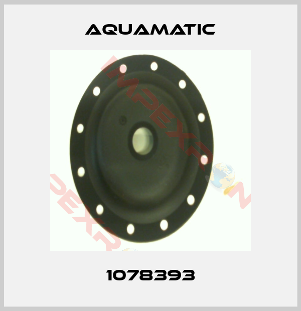 AquaMatic-1078393