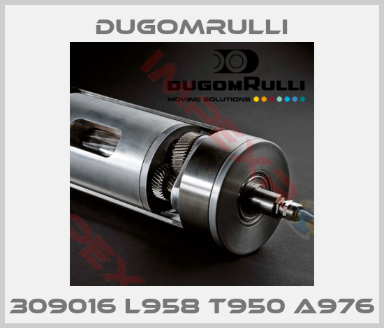 Dugomrulli-309016 L958 T950 A976