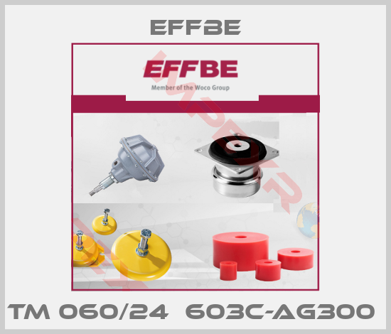 Effbe-TM 060/24  603C-AG300 