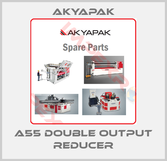 Akyapak-A55 double output reducer